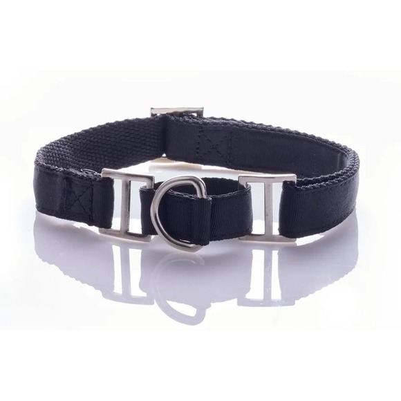 Pet Passion Other - Pet Passion Remy II - The Recycled Ribbon Martingale Adjustable Large, Black